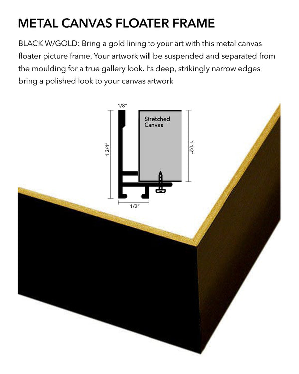 Metal - Black with Gold Canvas Floater Frame