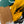 Dynamic Expressions in Modern Abstract Painting, Yellow Accents Contemporary Canvas Art | Estar (24