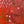 Abstract Painting - Original Wall Art – Oil & Acrylic on Canvas – Red Contemporary Modern Wall Art – Pretiosus Cadmii (20