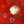 Abstract Painting - Original Wall Art – Oil & Acrylic on Canvas – Red Contemporary Modern Wall Art – Pretiosus Cadmii (20