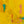 Original Modern Abstract Expressionism Painting, Contemporary Wall Art with Yellow Theme for Large Spaces | Teich II (48