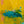 Original Modern Abstract Expressionism Painting, Contemporary Wall Art with Yellow Theme for Large Spaces | Teich II (48