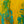 Original Modern Abstract Expressionism Painting, Contemporary Wall Art with Yellow Theme for Large Spaces | Teich II (48