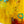 Original Modern Abstract Expressionism Painting, Contemporary Wall Art with Yellow Theme for Large Spaces | Teich II (48