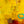 Original Modern Abstract Expressionism Painting, Contemporary Wall Art with Yellow Theme for Large Spaces | Teich II (48