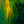 Large Modern Original Abstract Painting with Green Theme, Expressionism Contemporary Wall Art | Teich I (48