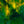 Large Modern Original Abstract Painting with Green Theme, Expressionism Contemporary Wall Art | Teich I (48