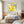 Vibrant Yellow Bold Abstract Wall Art — Modern Original Oil Painting, Textured Canvas — 