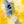 Vibrant Yellow Bold Abstract Wall Art — Modern Original Oil Painting, Textured Canvas — 
