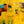 Vibrant Yellow Modern Abstract Wall Art — Original Oil Painting, Textured Canvas — 