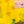 Vibrant Yellow Modern Abstract Wall Art — Original Oil Painting, Textured Canvas — 