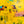 Vibrant Yellow Modern Abstract Wall Art — Original Oil Painting, Textured Canvas — 